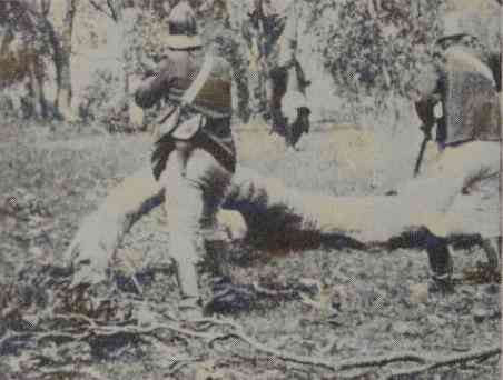 The Story of the Kelly Gang photo