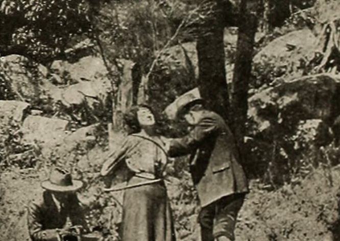 The Bushranger's Bride