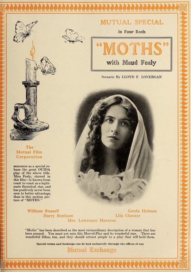 Moths scene
