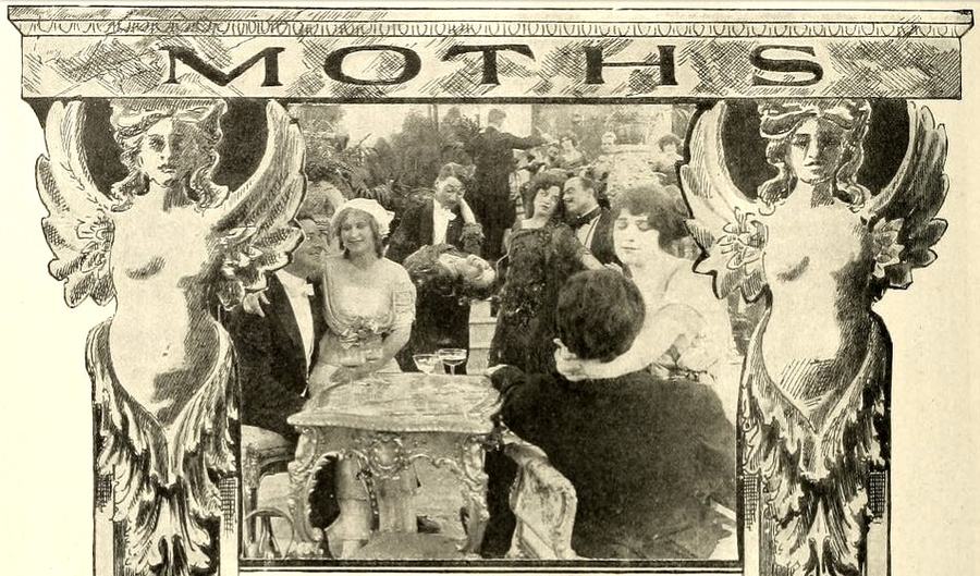 Moths scene