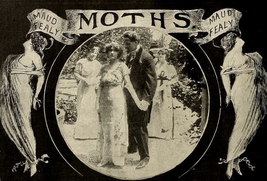 Moths scene