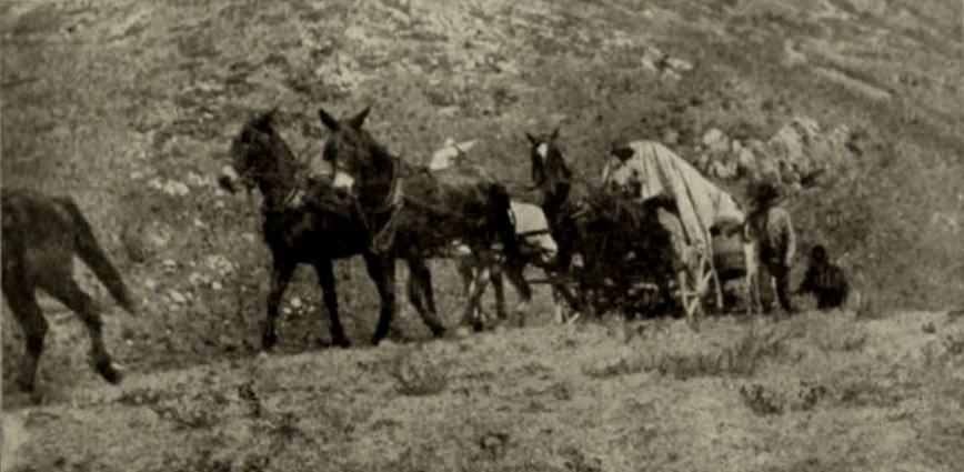 One Hundred Years of Mormonism scene