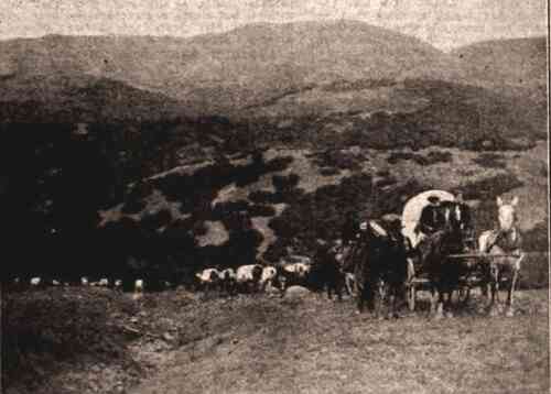 One Hundred Years of Mormonism