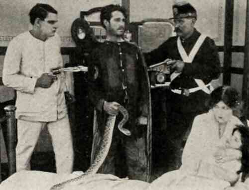 The Rattlesnake photo