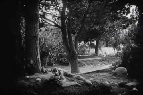 The Avenging Conscience: or 'Thou Shalt Not Kill' photo