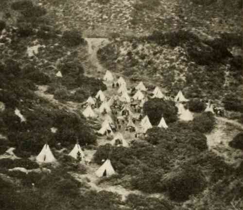 In the Days of the Thundering Herd photo