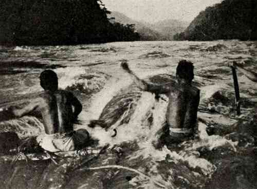 The Captain Besley Expedition