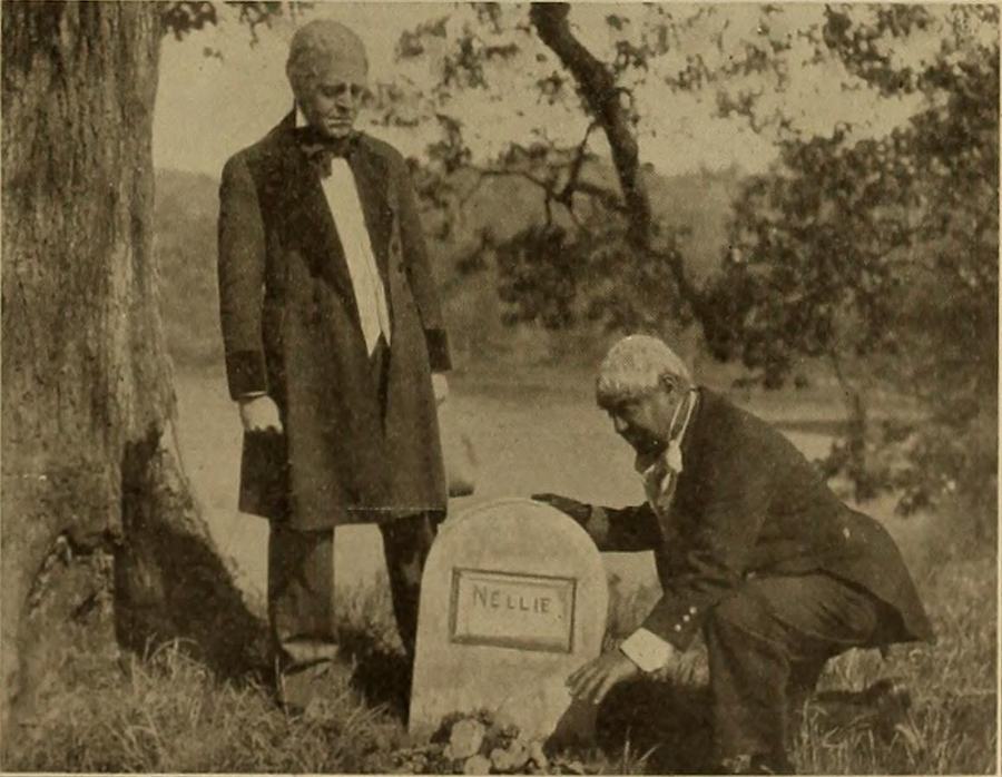 Dan scene