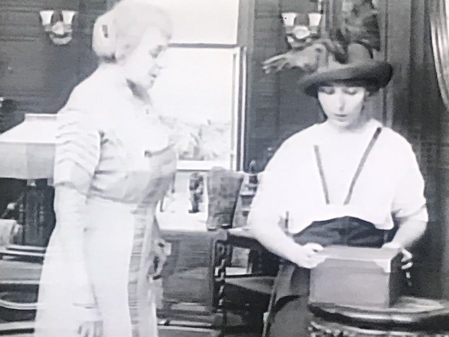 A Florida Enchantment scene