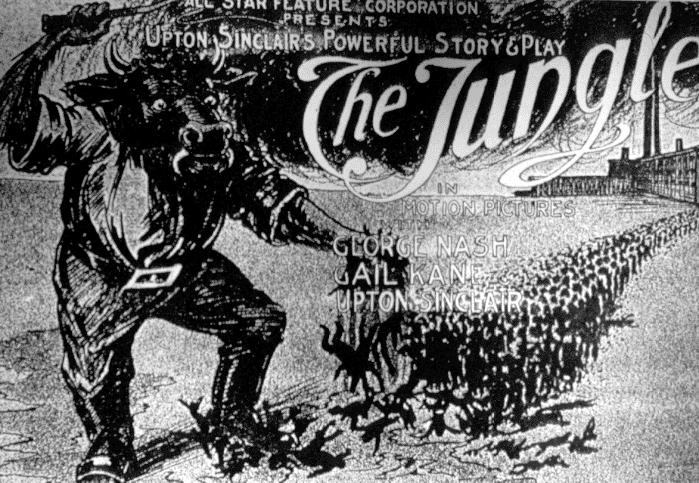 The Jungle scene