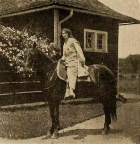 The Million Dollar Mystery photo