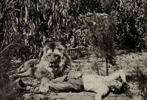 The Mysterious Man of the Jungle photo