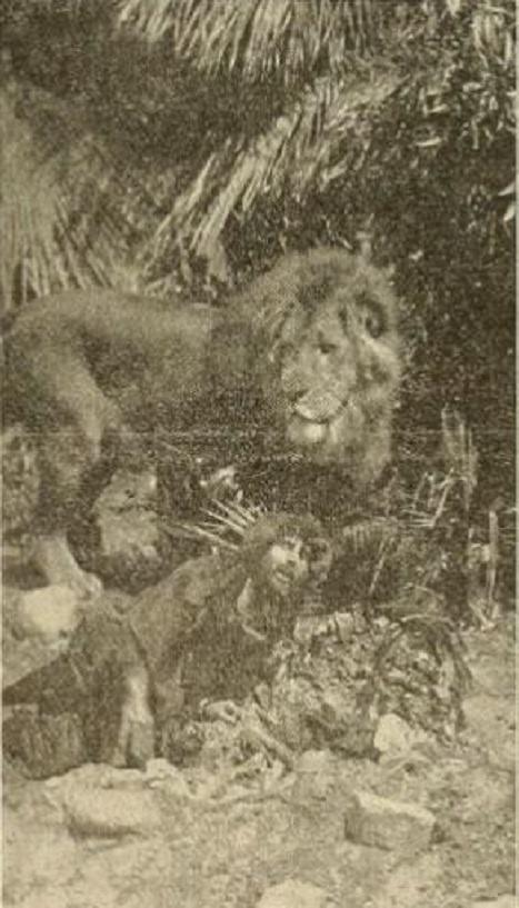 The Mysterious Man of the Jungle scene