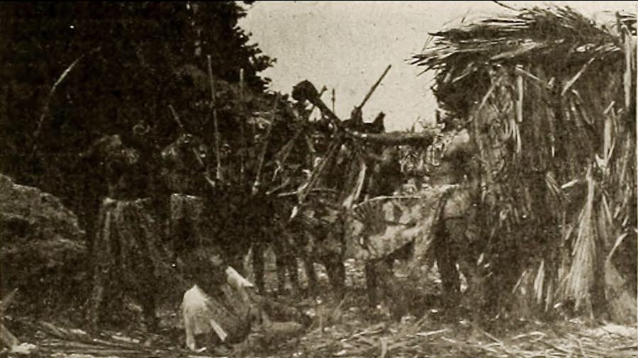 The Mystery of the Poison Pool scene 2