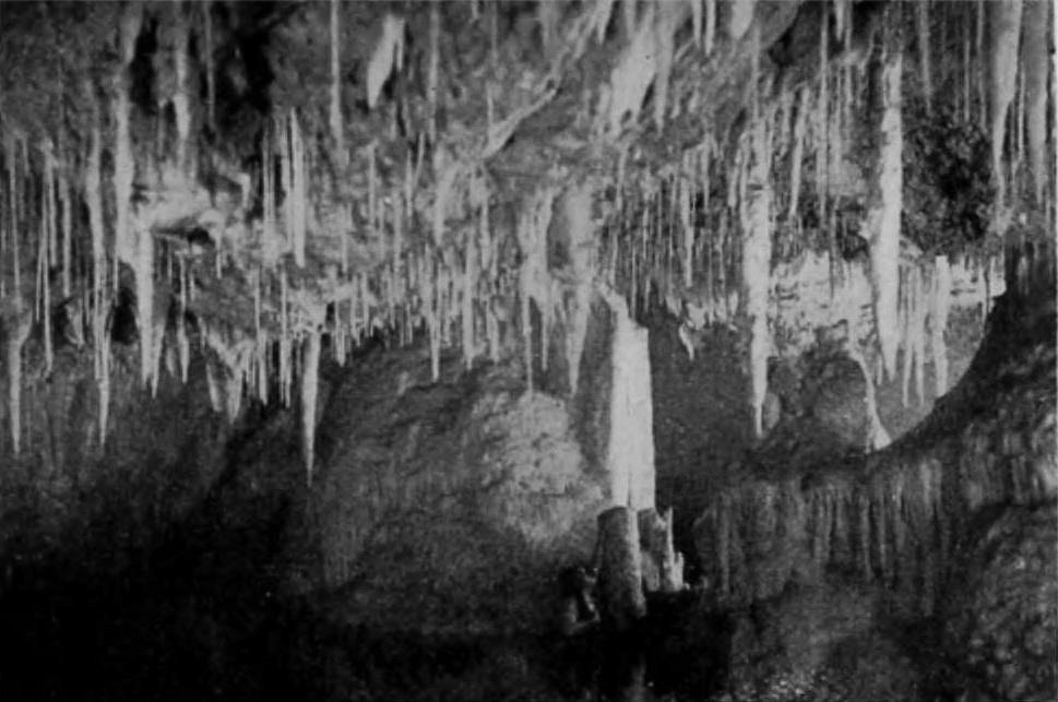 Neptune's Daughter scene