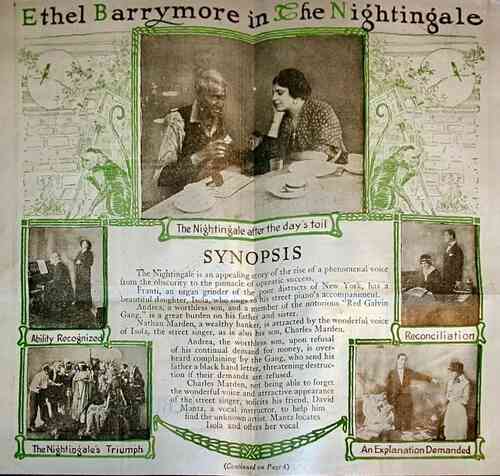 The Nightingale photo