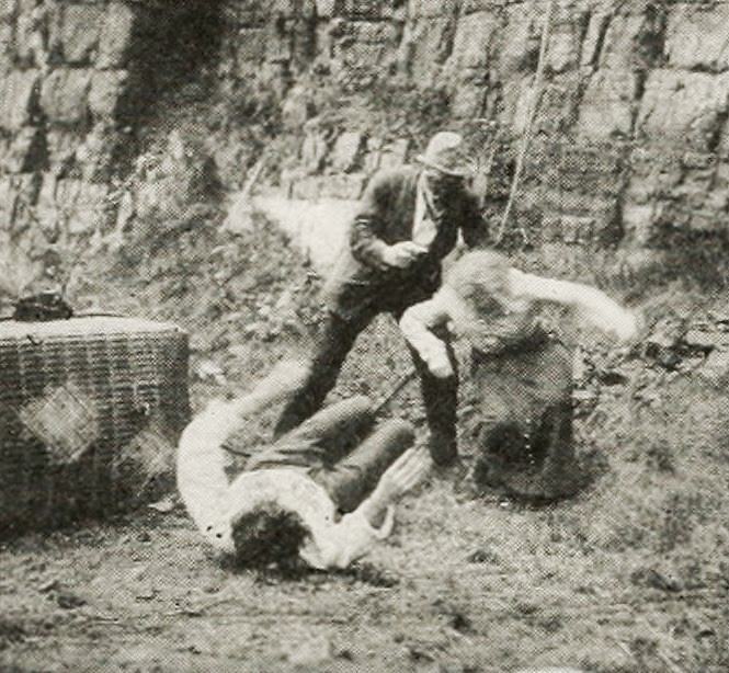 The Perils of Pauline scene