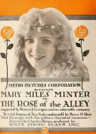 Rose of the Alley photo