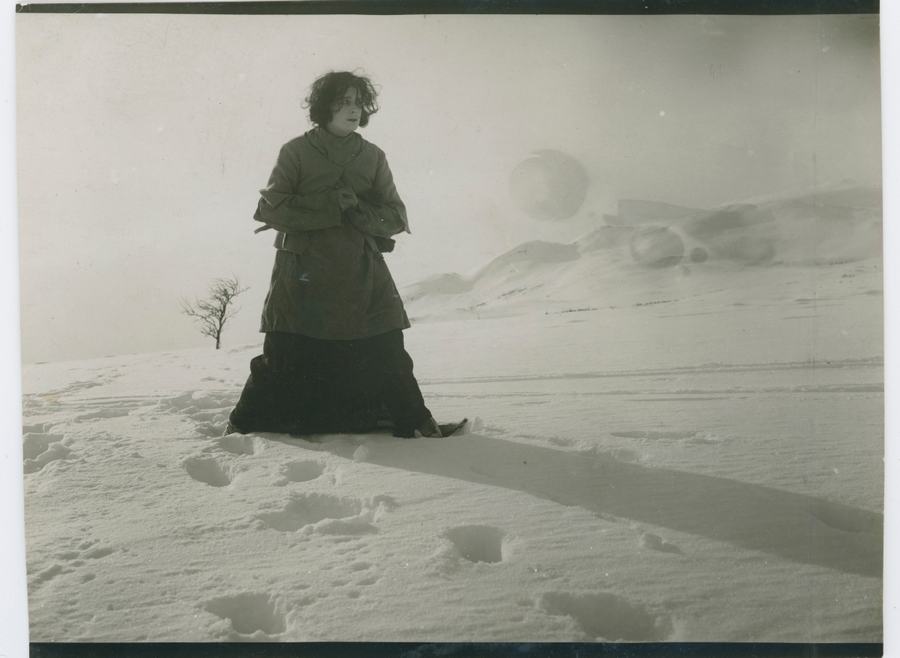 Stormfågeln scene