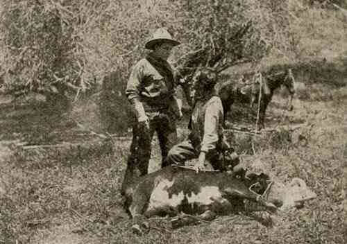 The Virginian photo