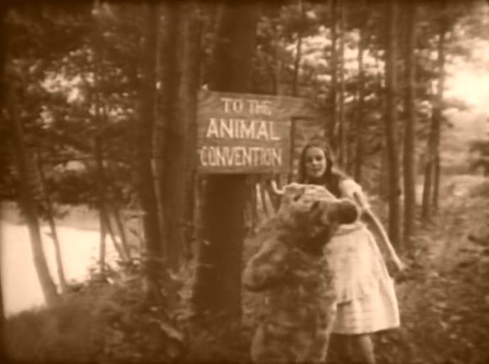 Alice in Wonderland scene 2