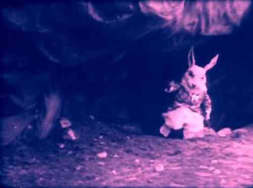 Alice in Wonderland scene