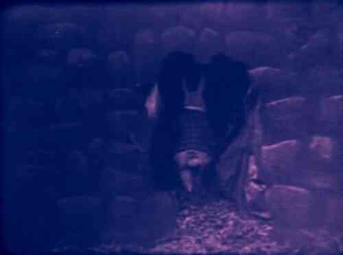 Alice in Wonderland photo