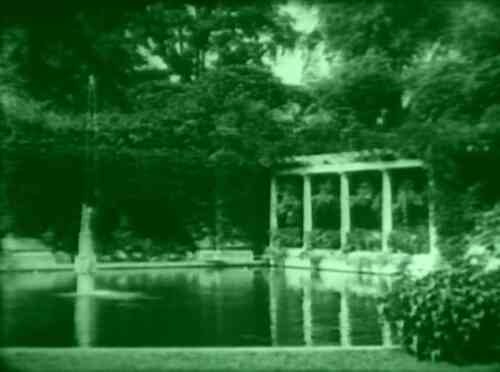 Alice in Wonderland photo