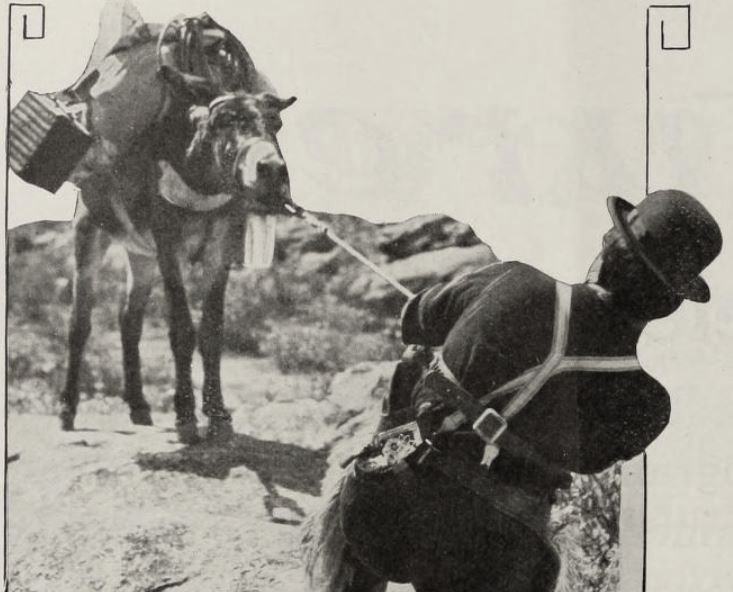 Chimmie Fadden Out West scene