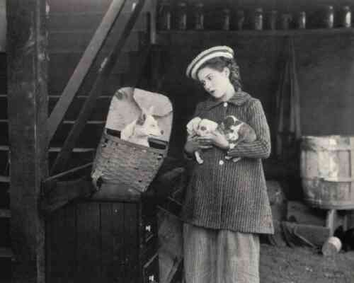 The Foundling photo
