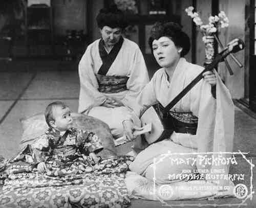 Madame Butterfly photo