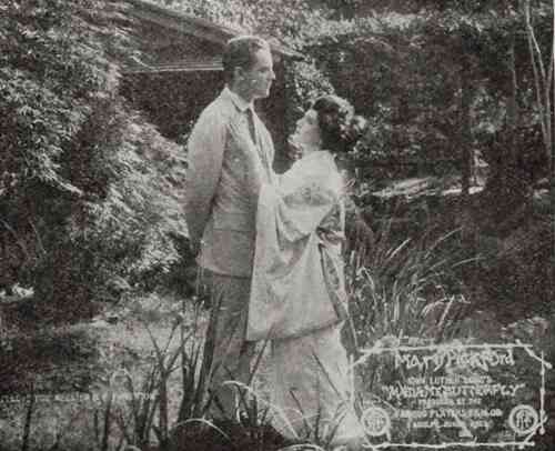 Madame Butterfly photo