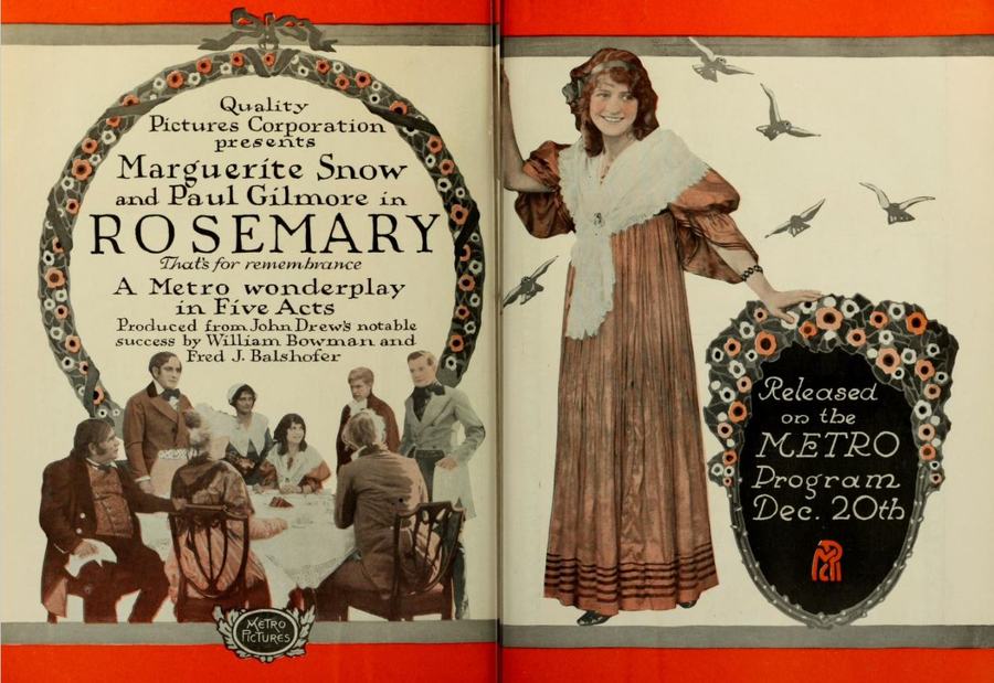 Rosemary scene