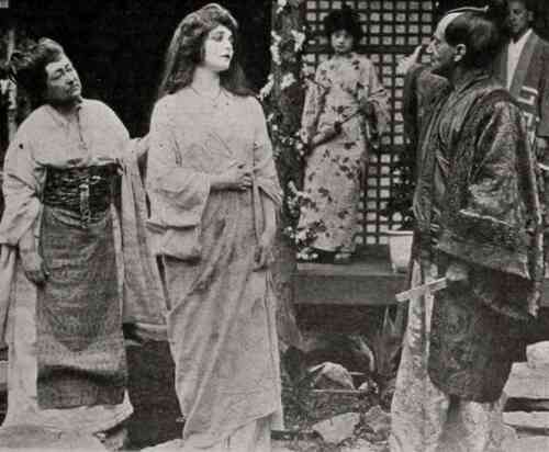 The White Pearl photo