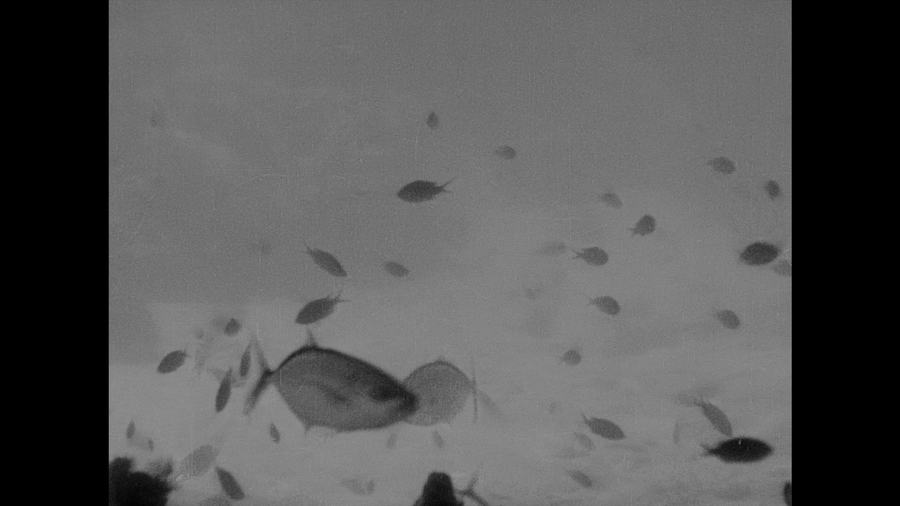 20,000 Leagues Under the Sea scene