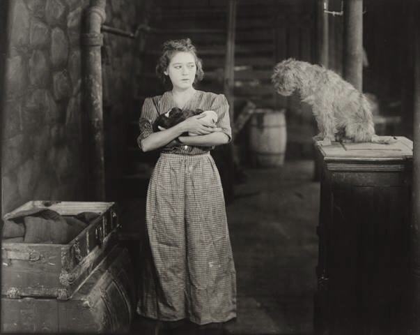 The Foundling photo