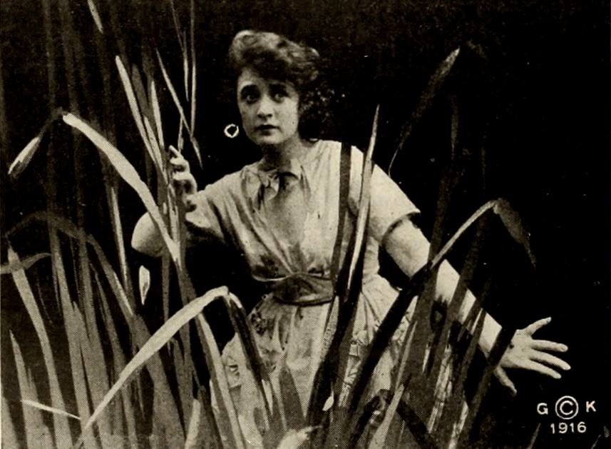 Gloria's Romance photo