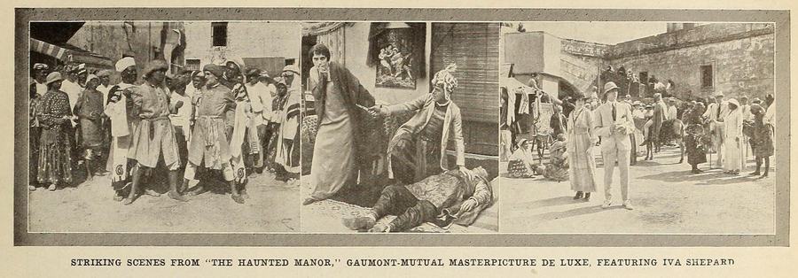 The Haunted Manor photo
