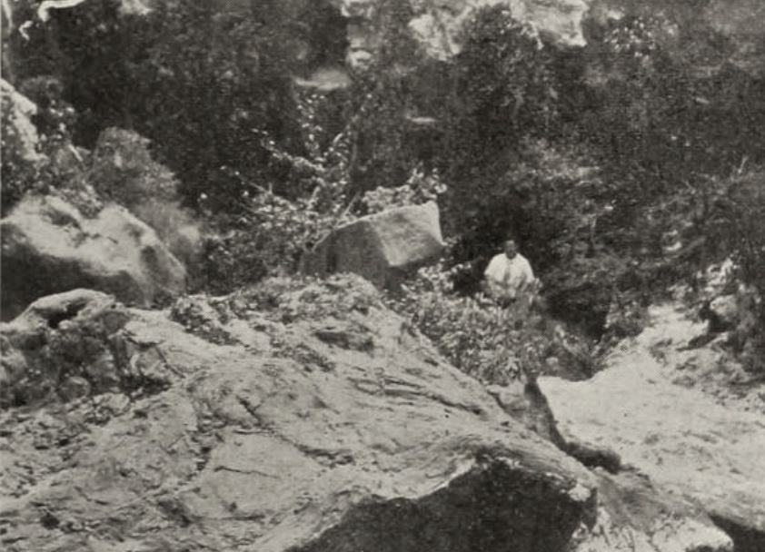 The Island of Surprise scene