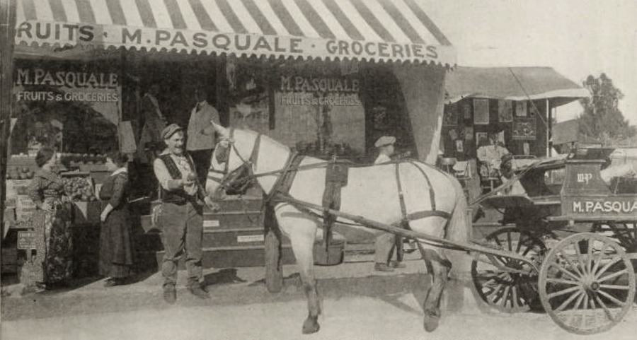 Pasquale photo