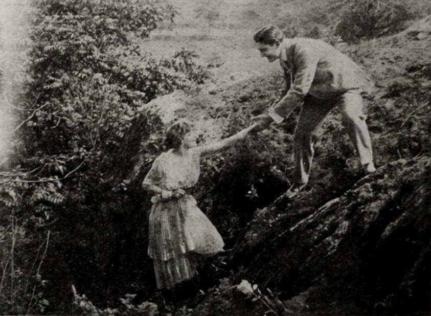 The Salamander scene
