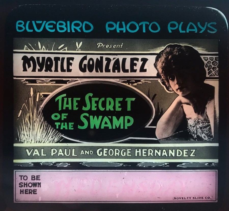 The Secret of the Swamp scene