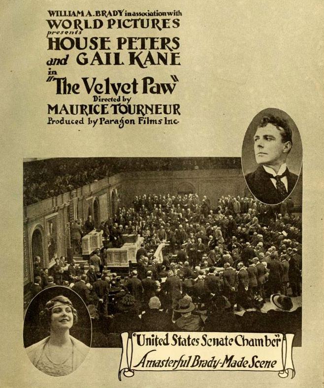 The Velvet Paw scene