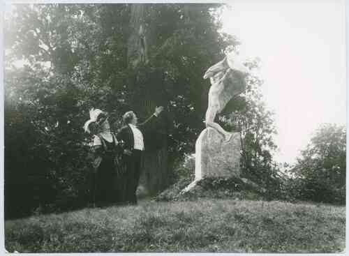 Vingarne photo