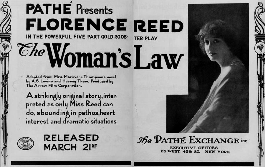 The Woman's Law scene