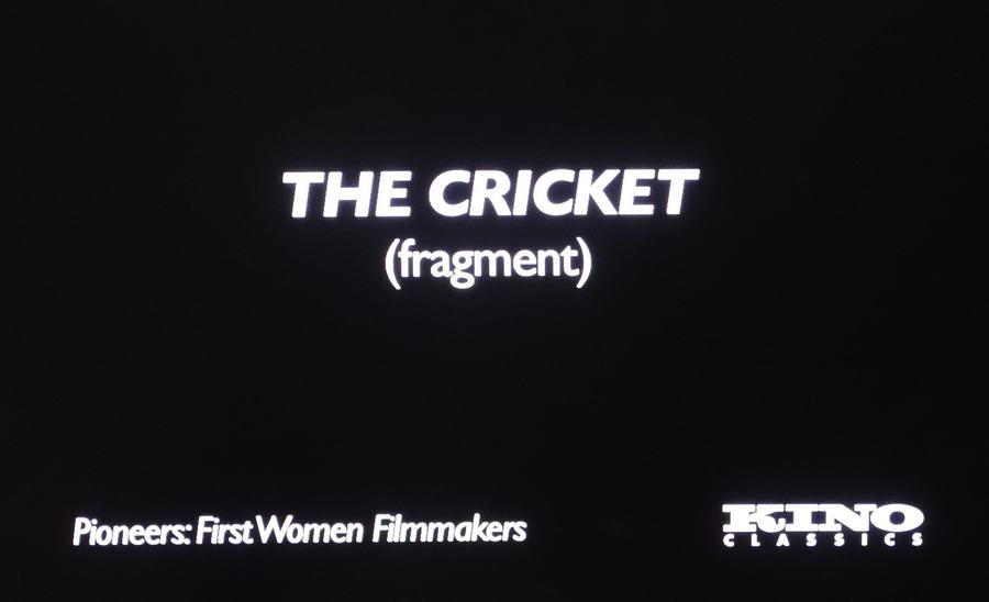 The Cricket photo