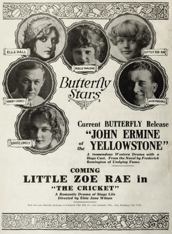 The Cricket scene