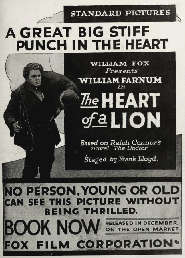 The Heart of a Lion photo