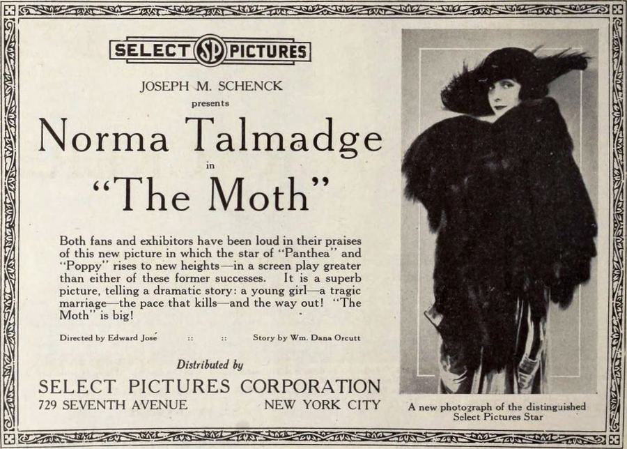 The Moth scene