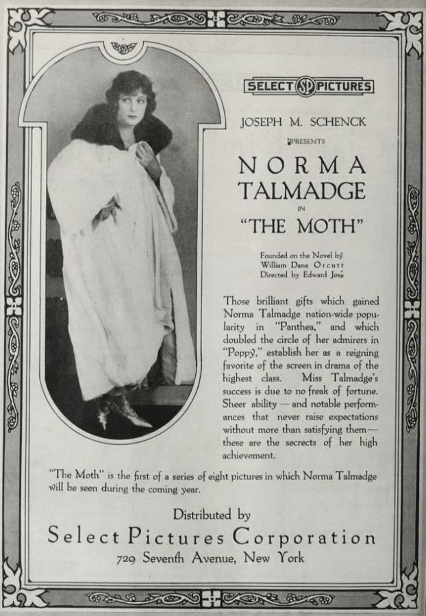 The Moth photo